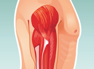 Medical Illustration portfolio