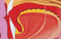Medical illustration of mouth