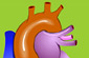 Detailed heart medical illustration