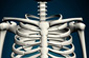 Skeleton view of rib cage in a medical illustration